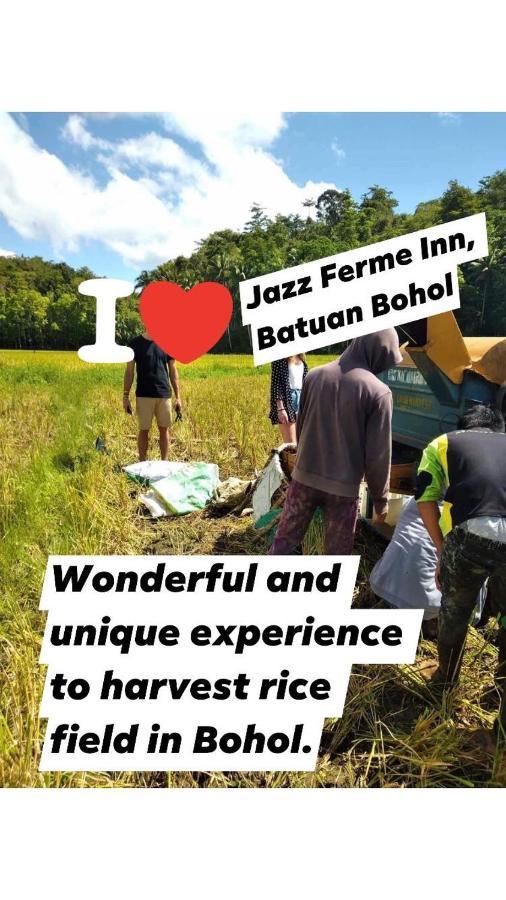 Jazz Ferme Inn Batuan Bohol Extérieur photo