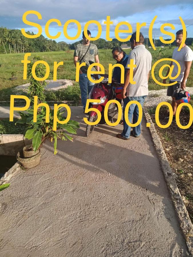 Jazz Ferme Inn Batuan Bohol Extérieur photo