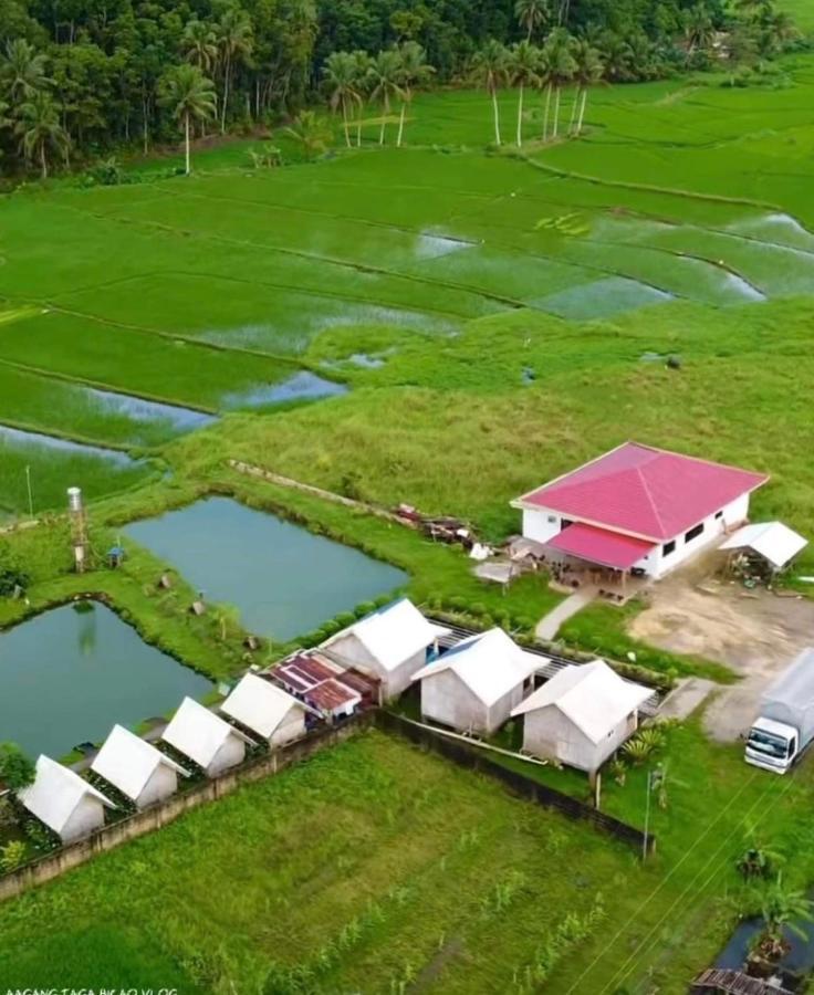 Jazz Ferme Inn Batuan Bohol Extérieur photo