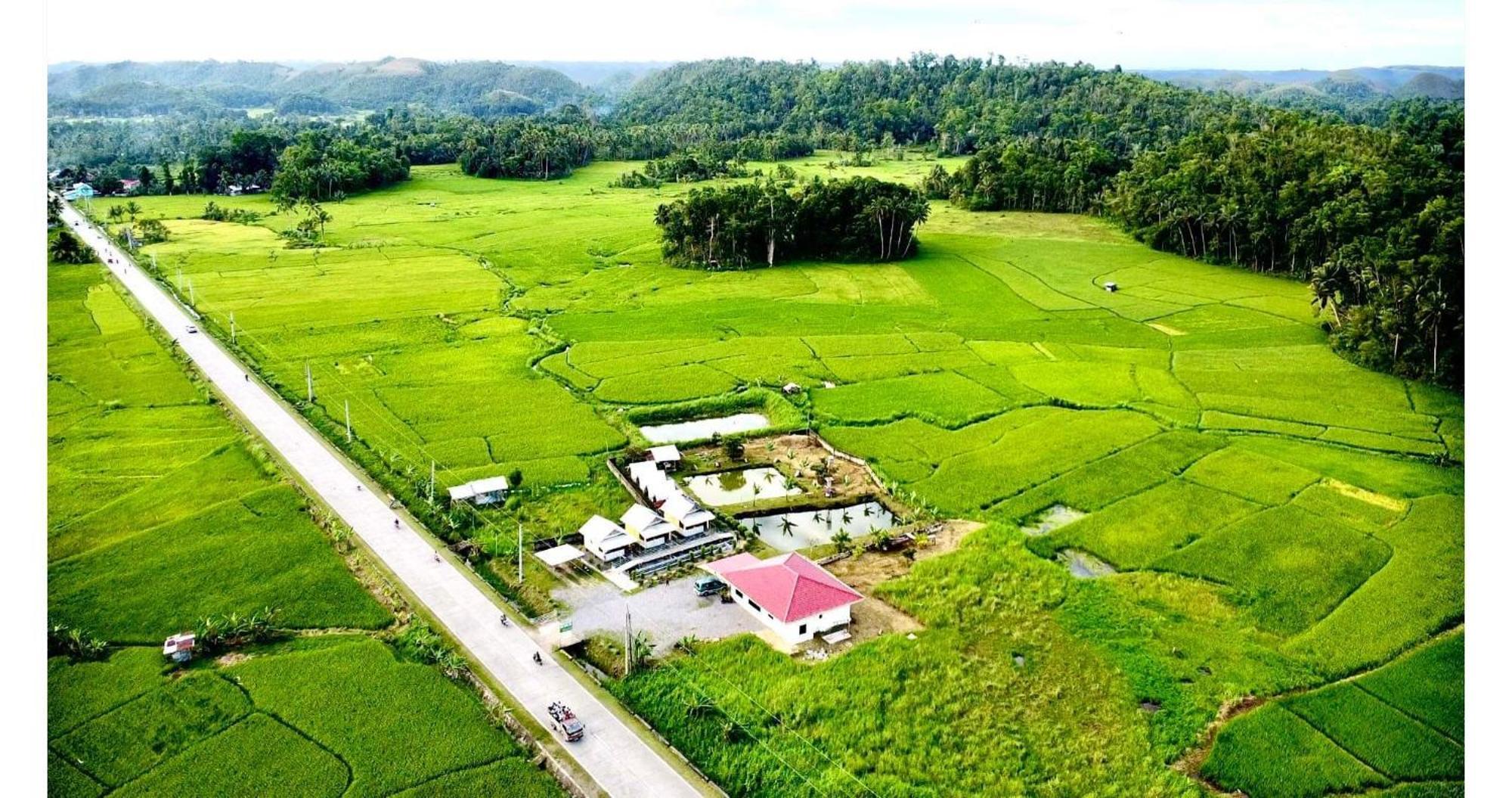 Jazz Ferme Inn Batuan Bohol Extérieur photo