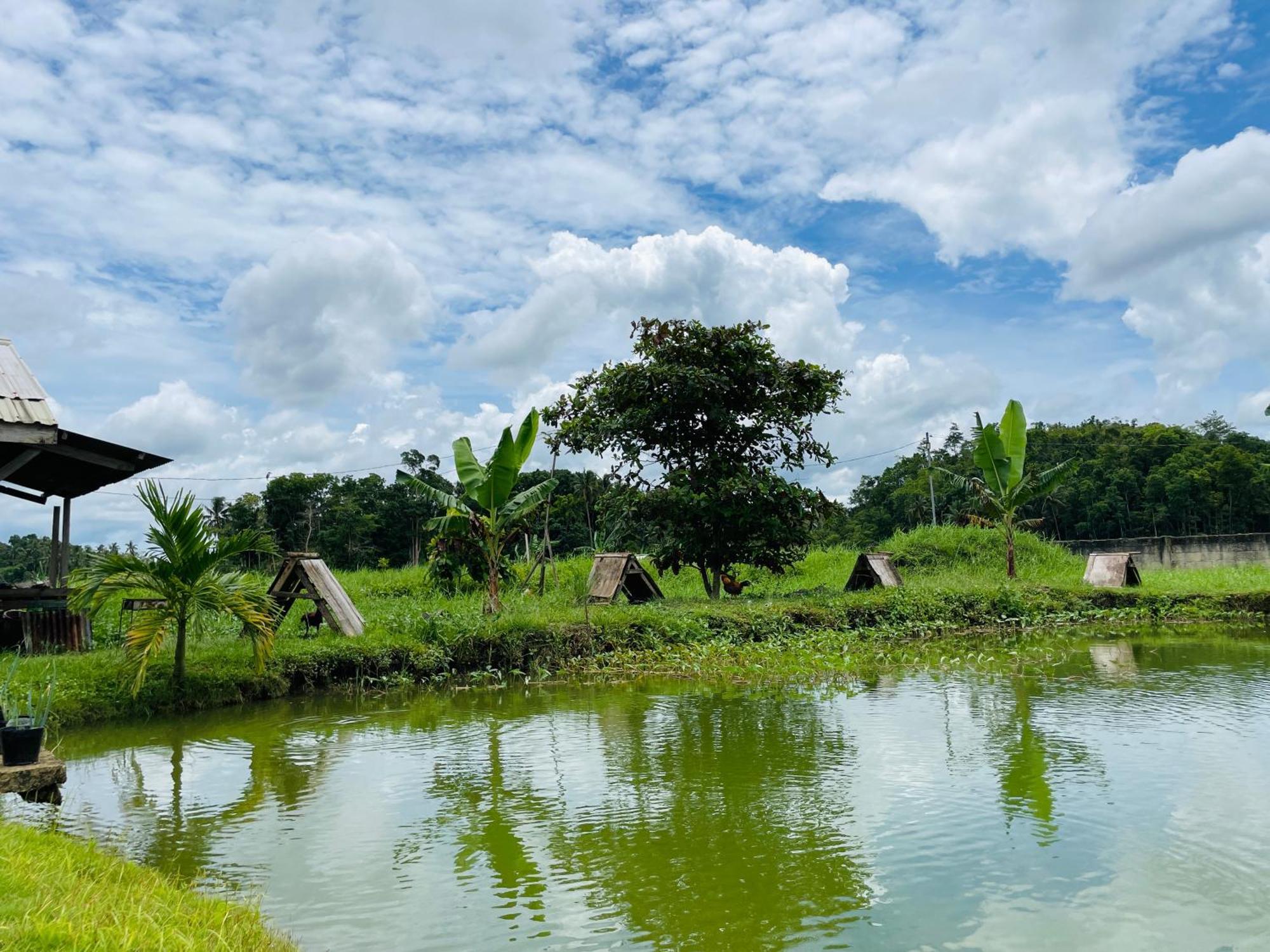 Jazz Ferme Inn Batuan Bohol Extérieur photo