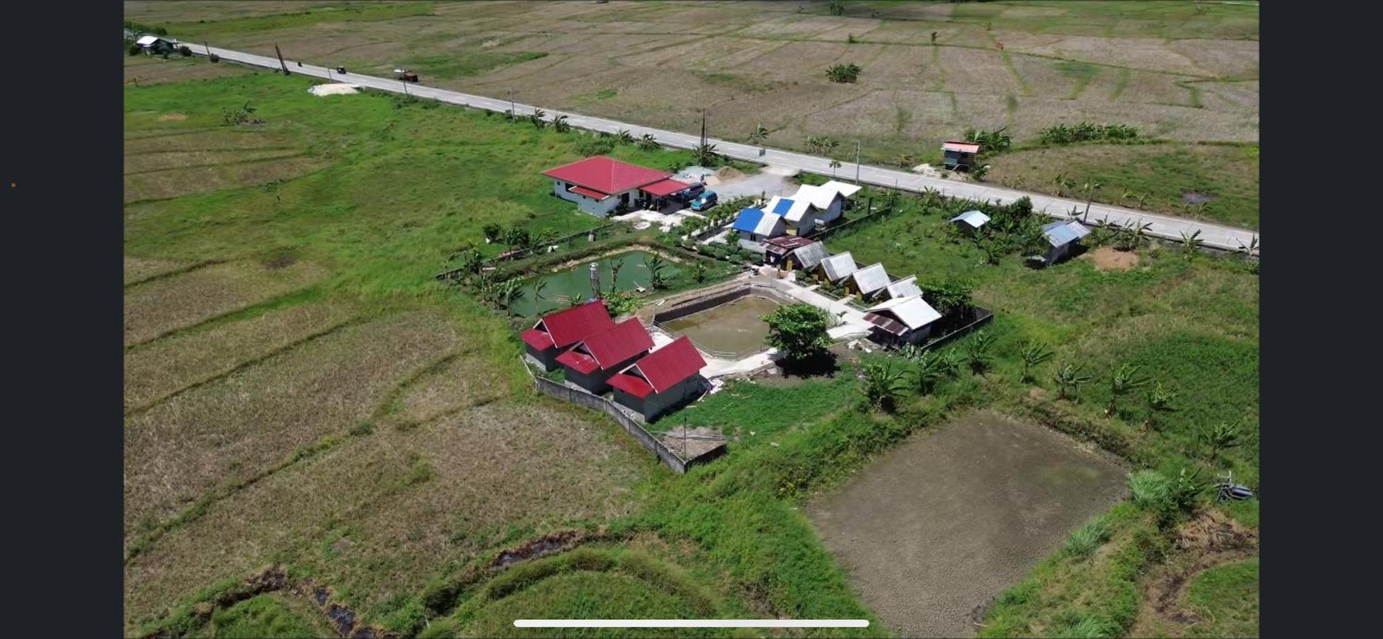 Jazz Ferme Inn Batuan Bohol Extérieur photo