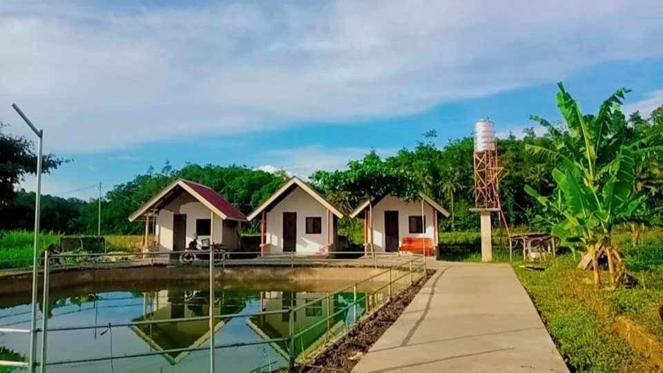 Jazz Ferme Inn Batuan Bohol Extérieur photo